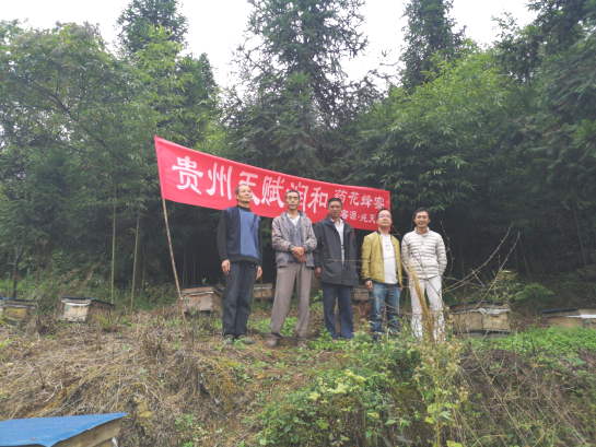 说明: https://www.zmu.edu.cn/__local/A/AE/FA/CE6E219E650D15AD13FB27DBB7F_CECB8B6F_DA27D.png